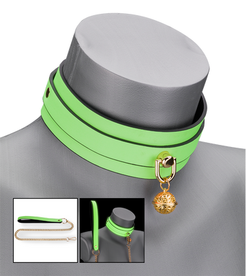 Neon green collar and lead